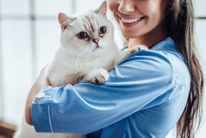 how to become a vet assistant