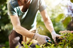 how to become a gardener