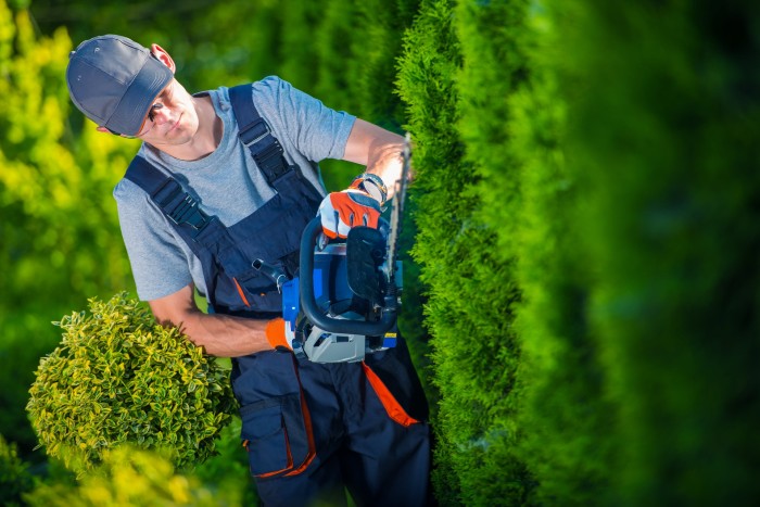 Considering a Landscaping Career?