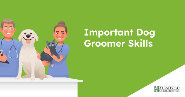 5 Dog Groomer Skills You Need for a Successful Career » Stratford ...